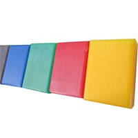 带把手塑料菜板（砧板）